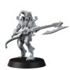 AMISH HARLEQUIN DARK JESTER